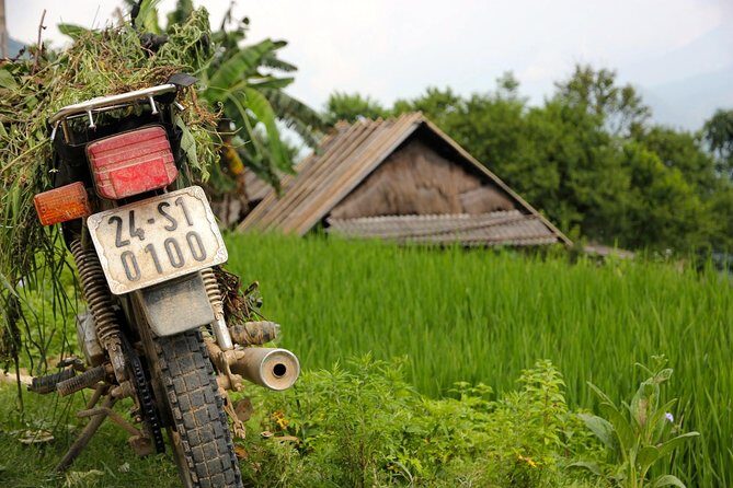 Sapa Motorbike Tour 1 Day| See All Of Rice Fields & Valleys in One Day - Key Points