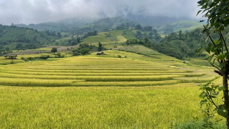 Sapa: Motorbike Tour 1 Day Visit Waterfalls & Local Villages - FAQs