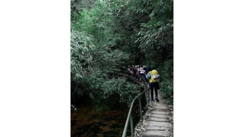 **SAPA**: Mount Fansipan Trek with a Local Guide - Practical Tips for Your Trek