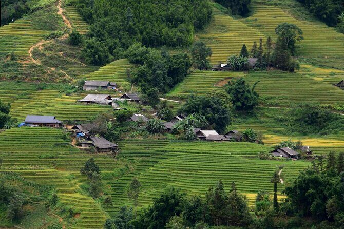 Sapa No-Trek Escape: Ta Van Village, Muong Hoa Valley, Spa & Café - The Sum Up: A Gentle, Authentic Sapa Experience