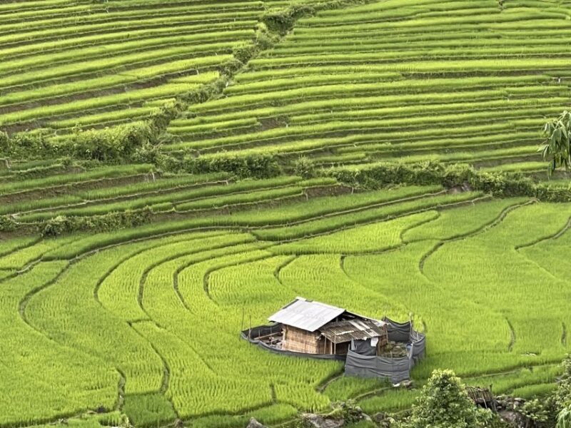 Sapa One Day Motorbike Tour - FAQs