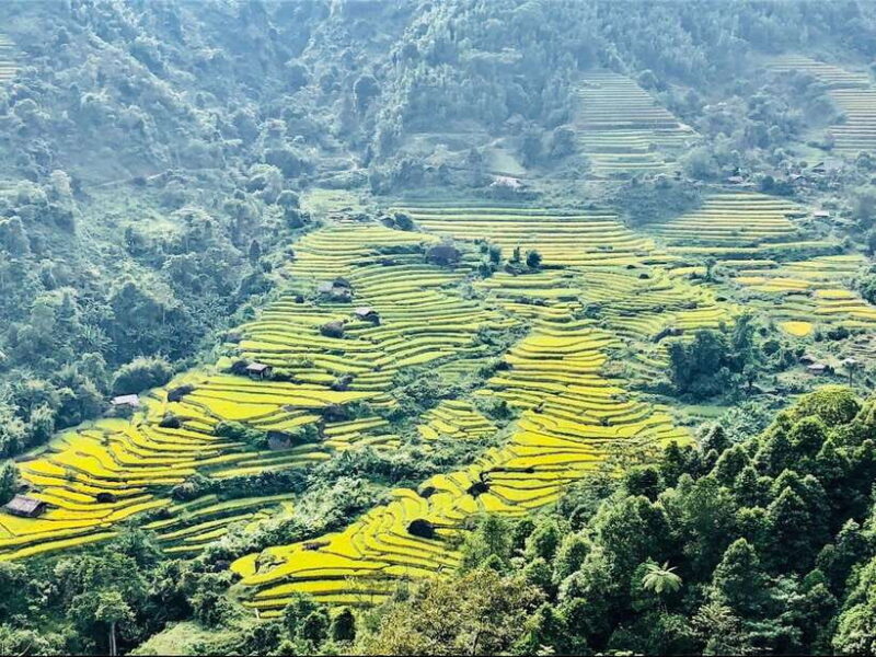 Sapa: Private Highlights Day Tour with Lunch - The Itinerary in Detail: What to Expect
