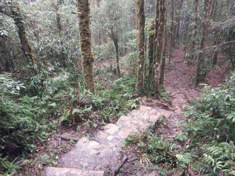 Sapa: Private Highlights Day Tour with Lunch - FAQ