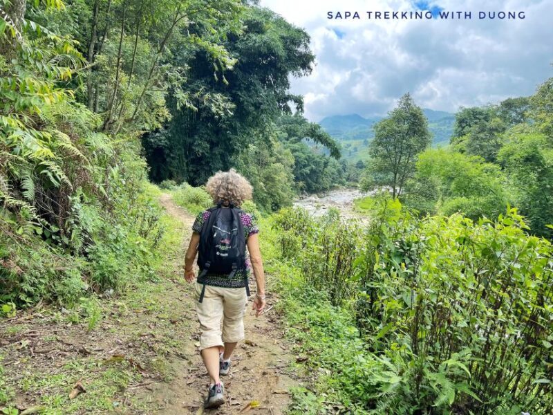 Sapa: Private Muong Hoa Valley and Homestay Trekking 2-Day - Exploring Sapa’s Cultures and Scenery: A 2-Day Private Trekking Experience