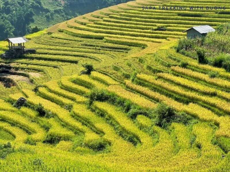 Sapa: Private Muong Hoa Valley and Homestay Trekking 2-Day - Key Points