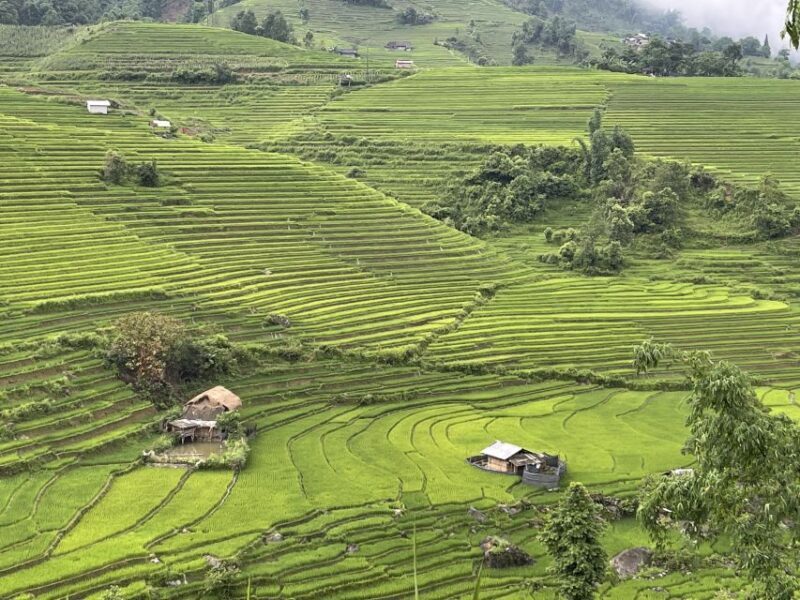 Sapa: Private Muong Hoa Valley and Homestay Trekking 2-Day - FAQ