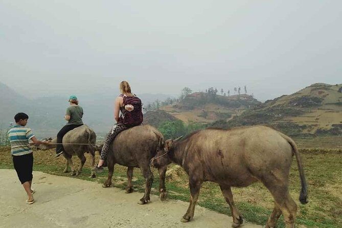 Sapa private: One day of funny Buffalo Ride & Trekking Tour - Who Will Love This Tour?