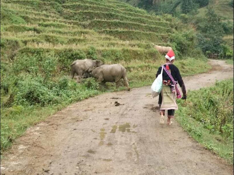 Sapa: Private trek to Muong Hoa Valley - Key Points