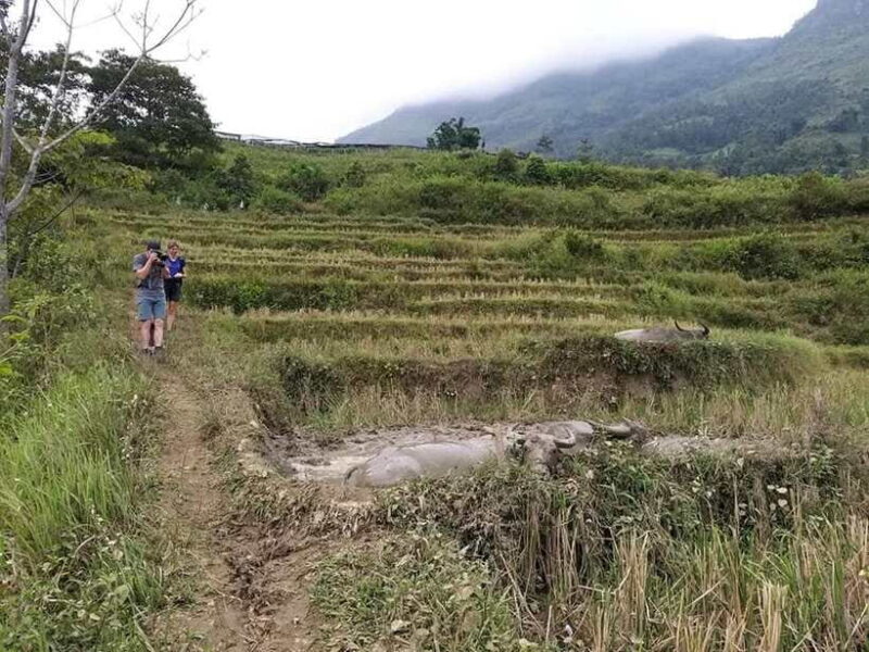 Sapa: Private trek to Muong Hoa Valley - What Makes This Tour Stand Out