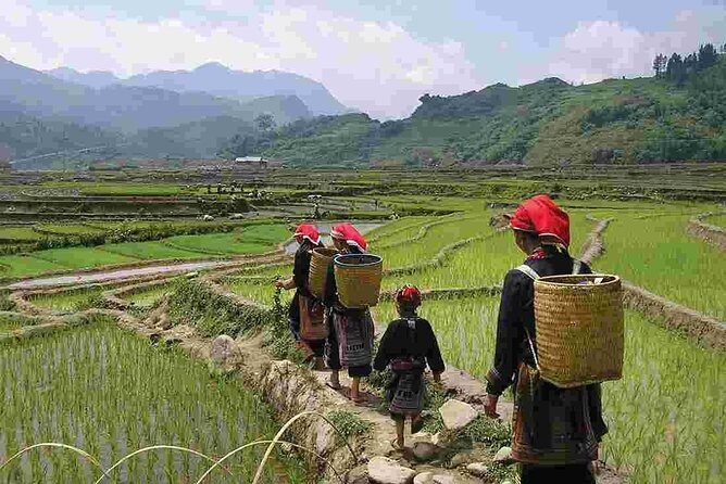 Sapa Private Trekking Through Rice Terraced Fields - 1Day - Exploring the Sapa Rice Terrace Private Trekking Experience