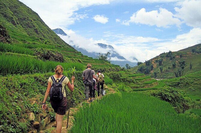 Sapa Scenic Trekking through Rice Terraces & Local Villages - Key Points