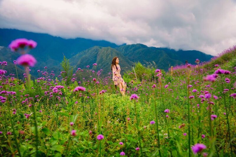 Sapa: Sunworld Fansipan Legend Ticket - Key Points