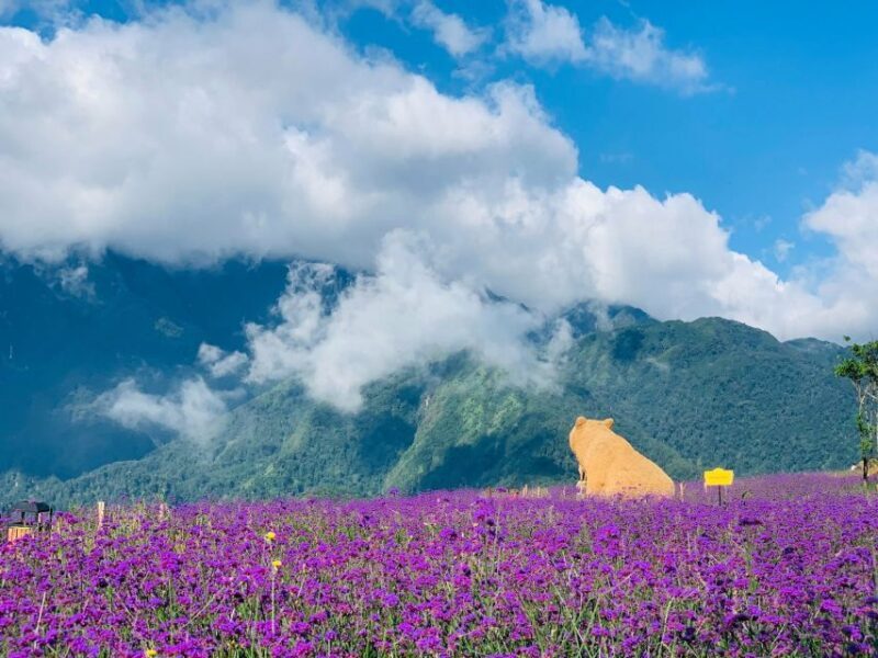 Sapa: Sunworld Fansipan Legend Ticket - The Sum Up: Is It Worth It?