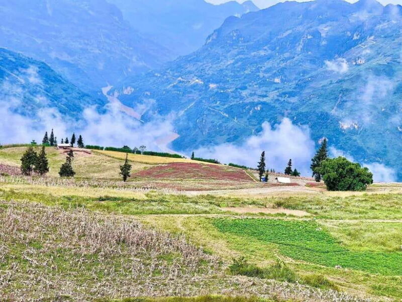 Sapa: Ta Phin Village Trek with Lunch and Bathing Experience - The Experience: What Makes It Special