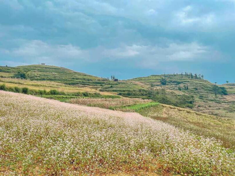Sapa: Ta Phin Village Trek with Lunch and Bathing Experience - Who Will Enjoy This Tour?