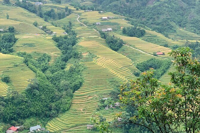Sapa The Hidden Trail Trek 1 Day - Mountain & Rice Valley - The Sum Up: Is This Trek Right for You?