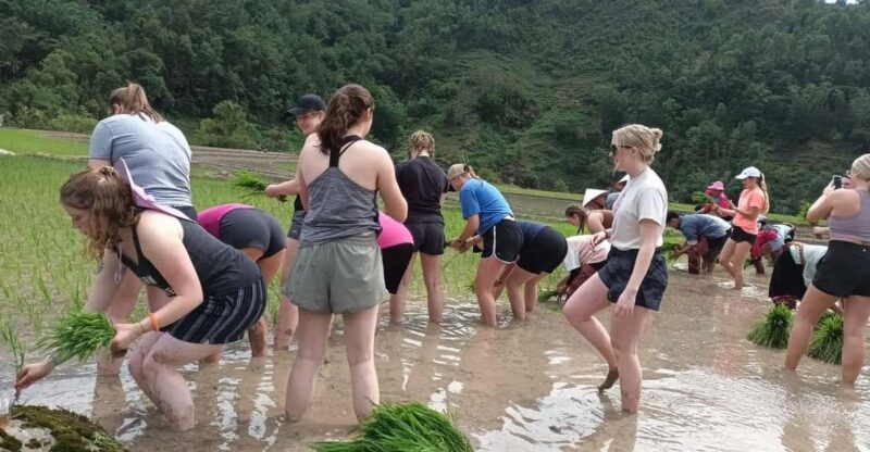 Sapa: Trekking 2 days 1 night in homestay - Sapa: Trekking 2 Days 1 Night in Homestay