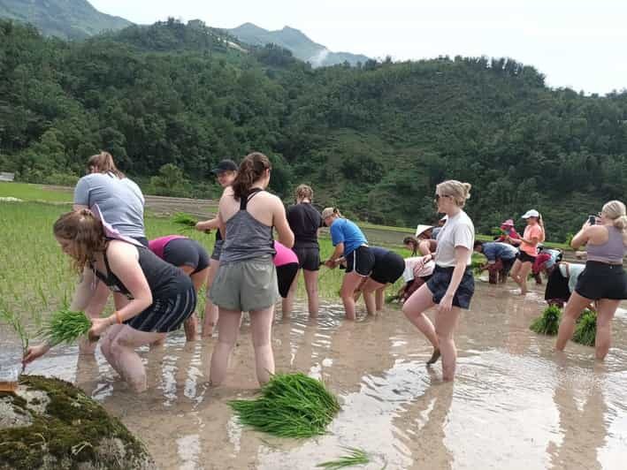 Sapa: Trekking 2 days 1 night in homestay - Key Points