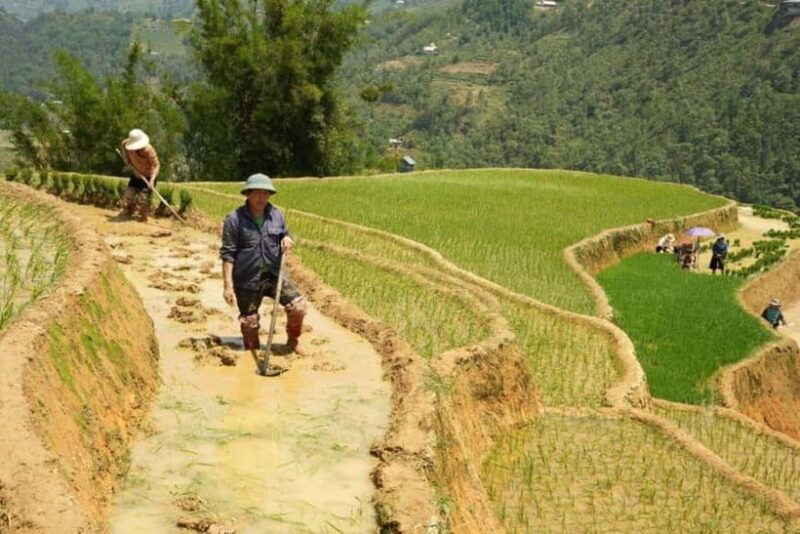 Sapa Trekking 3 Days 2 Night - VIP Sleeper Bus from Hanoi - Exploring Sapa: A 3-Day Trekking Adventure from Hanoi