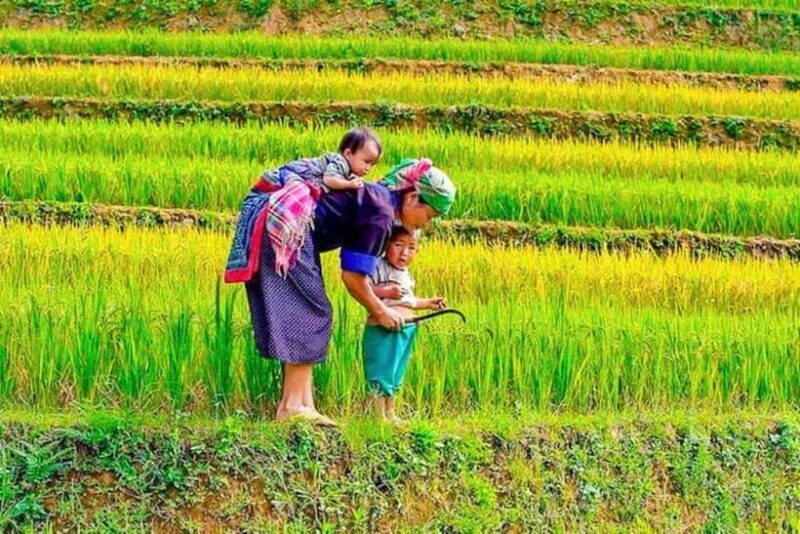 Sapa Trekking 3 Days 2 Night - VIP Sleeper Bus from Hanoi - The Value of This Experience