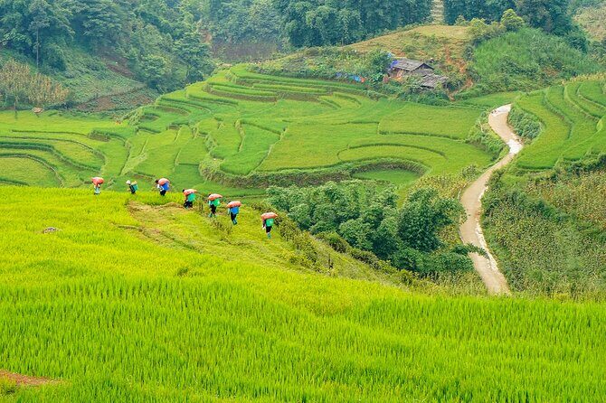 Sapa Trekking 3 Days 2 Nights (Homestay) - Departure From Hanoi - Who Is This Tour Best For?