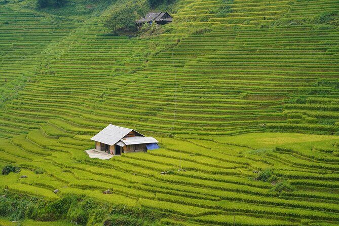 Sapa Trekking 3 Days 2 Nights (Homestay) - Departure From Hanoi - FAQ