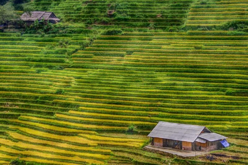Sapa Trekking Bargains With Local Guide - Key Points