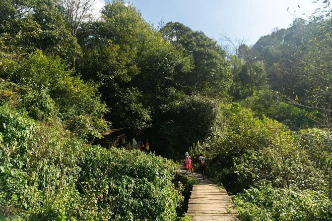 Sapa Trekking & Cooking with HMong Locals Local Culture - Weather and Cancellation Policies