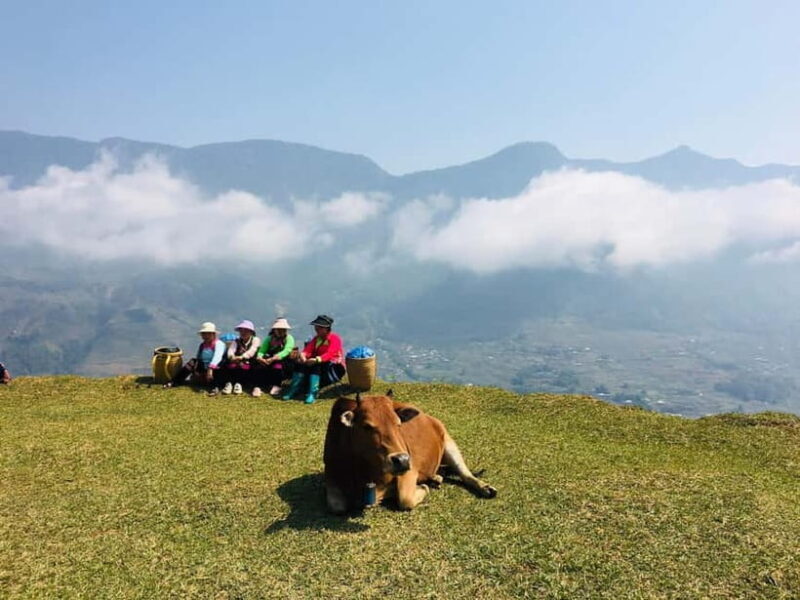 Sapa Trekking Guide Francophone 2 days  1 night - A Detailed Look at the Sapa Trekking Tour