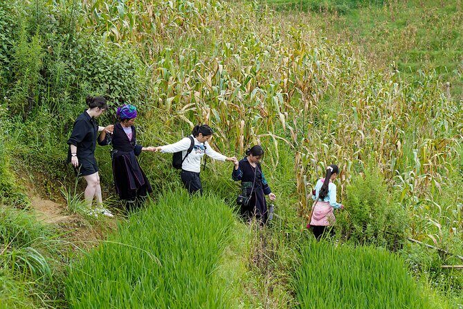 Sapa Trekking & Homestay 2 Days 1 Night - Who Should Consider This Tour?