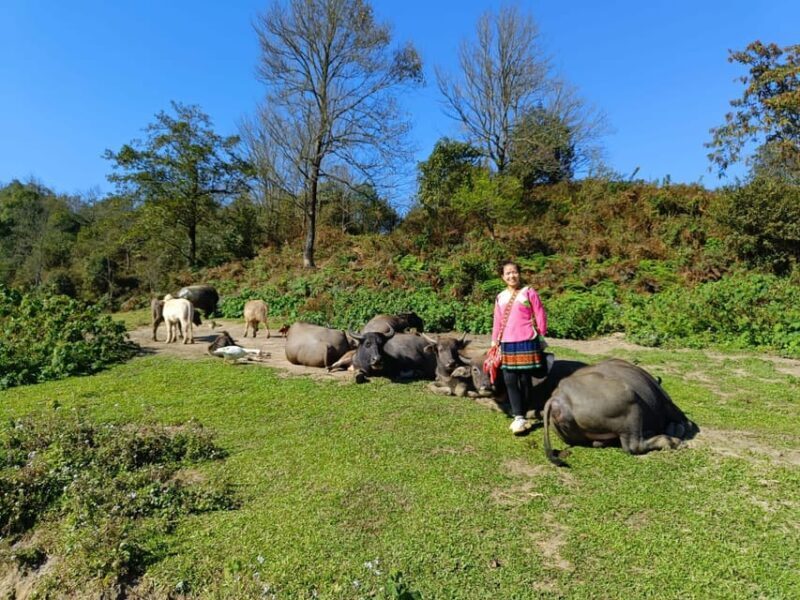 SAPA TREKKING & HOMESTAY: 3D2N - Who Should Consider This Tour?