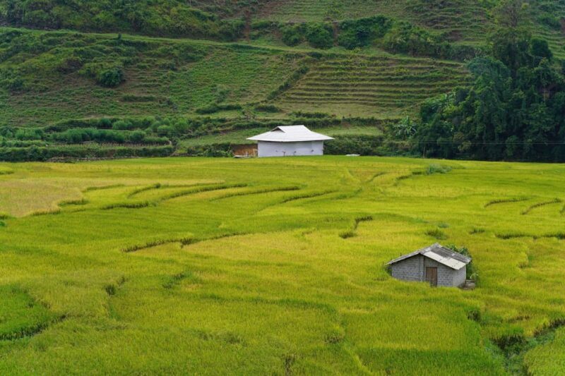 Sapa Trip to Y Linh Ho - Lao Chai - Ta Van - Cat Cat Village - Experience a Day of Authentic Sapa Culture and Scenic Beauty