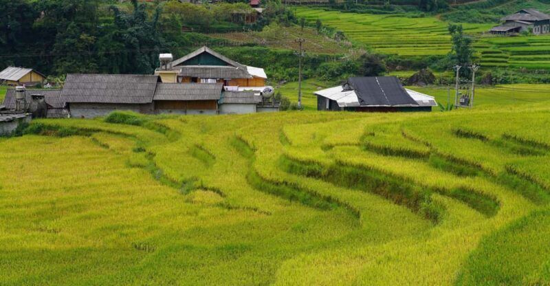 Sapa Trip to Y Linh Ho - Lao Chai - Ta Van - Cat Cat Village - Who Is This Tour Best For?