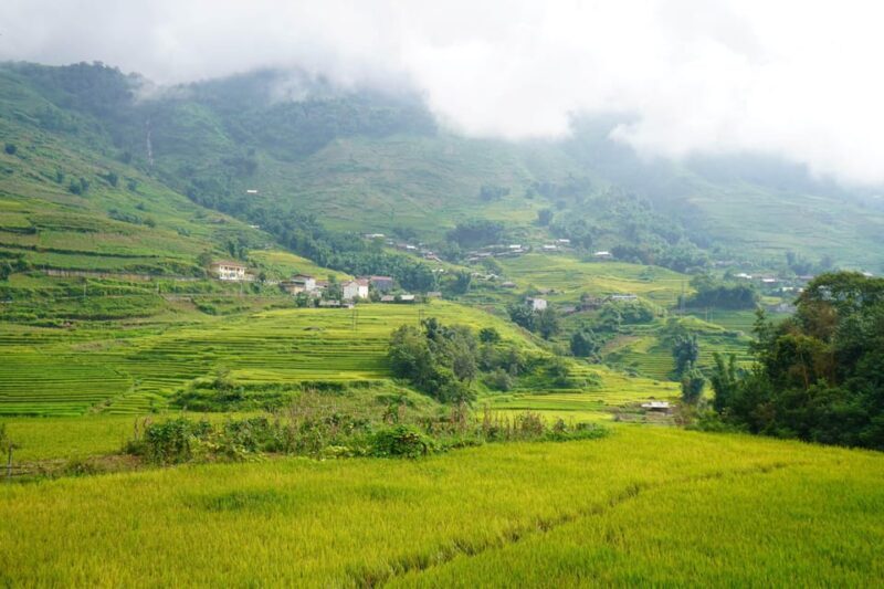 Sapa Trip to Y Linh Ho - Lao Chai - Ta Van - Cat Cat Village - Final Thoughts: Is This Tour Worth It?