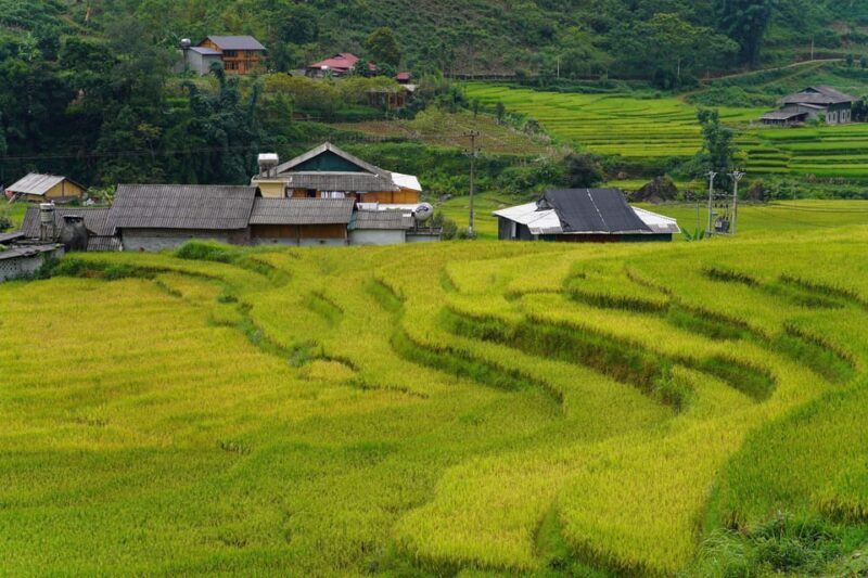 Sapa Trip to Y Linh Ho - Lao Chai - Ta Van - Cat Cat Village - FAQ