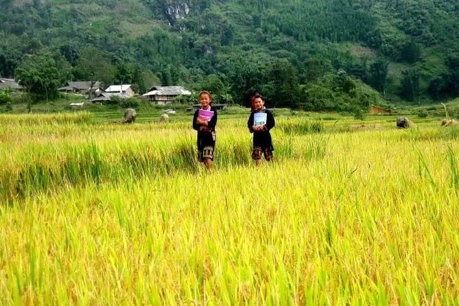 Sapa Valley Trek and Homestay - 3D2N Private Tour - Who Should Consider This Tour?