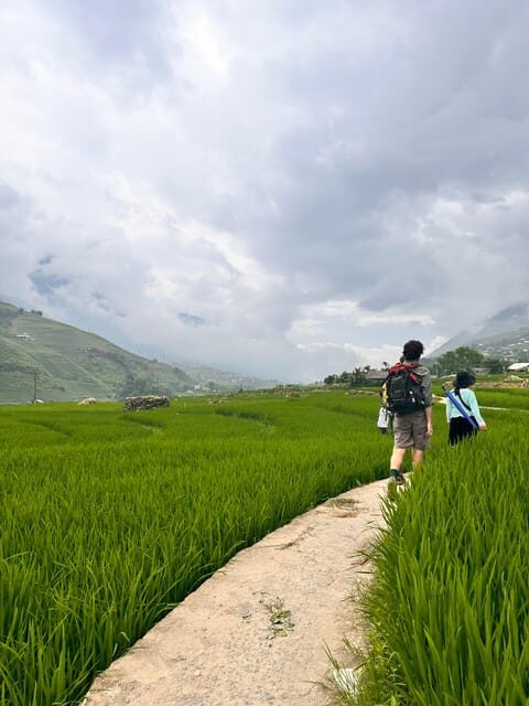 Sapa3D2N TrekkingAdventures,Valleys,Bambooforest,Waterfall - What Makes This Tour Stand Out?