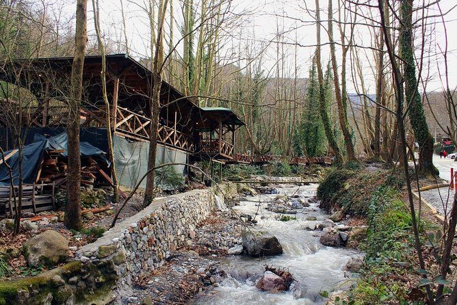 Sapanca And Masukiye Tour With Lunch - Full Day - Who Is This Tour Best For?