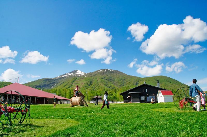 Sapporo 8 Natural Wonders Full-Day Tour with Night Illumination - A guide can make a packed route easier