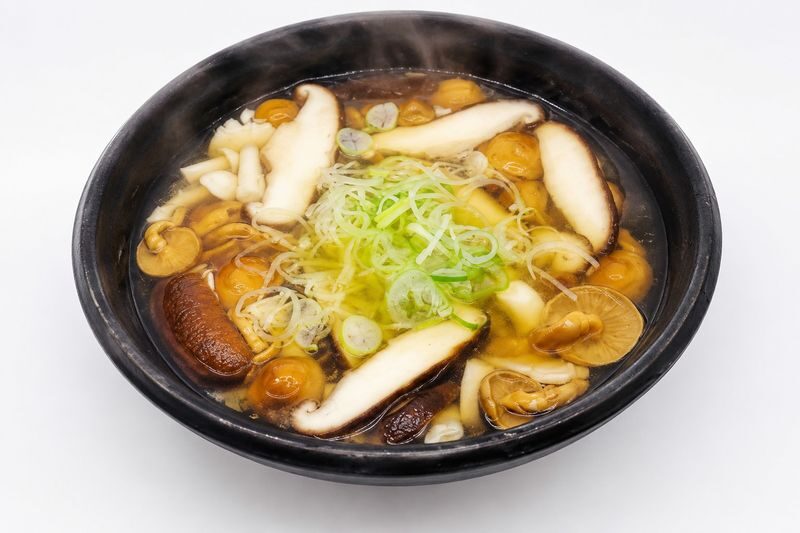Sapporo 8 Natural Wonders Full-Day Tour with Night Illumination - Booking advice and the final call