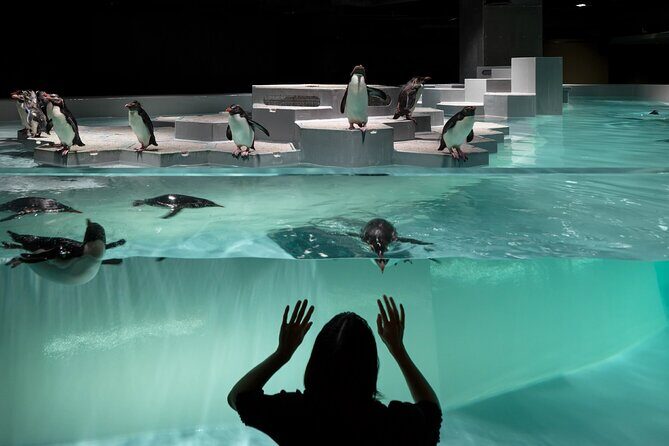 Sapporo AOAO Aquarium Park Hokkaido - Key Points
