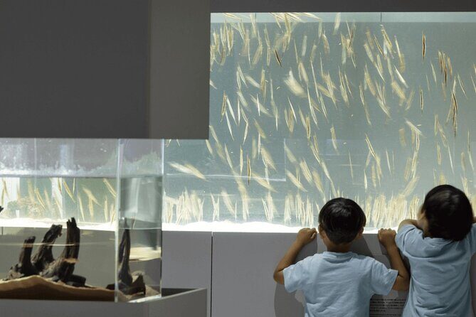 Sapporo AOAO Aquarium Park Hokkaido - What is AOAO SAPPORO?