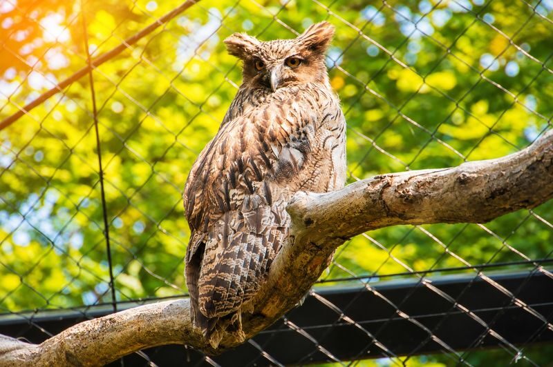 Sapporo Asahidake National Park & Zoo Day Trip - Is $63.09 good value?