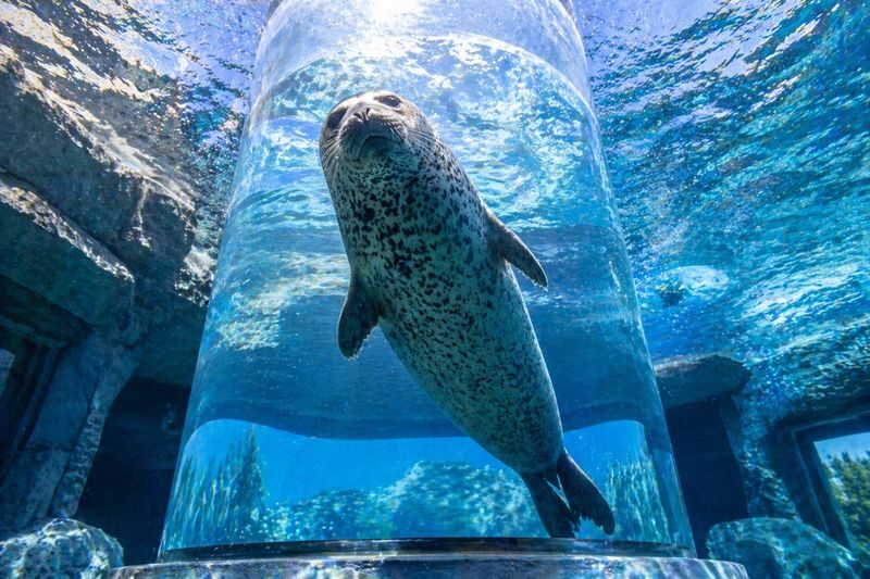 Sapporo Asahidake National Park & Zoo Day Trip - Who should choose this Hokkaido day trip?