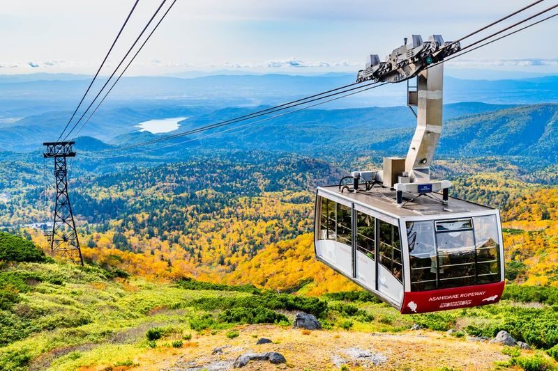 Sapporo Asahidake National Park & Zoo Day Trip - Should you book it?