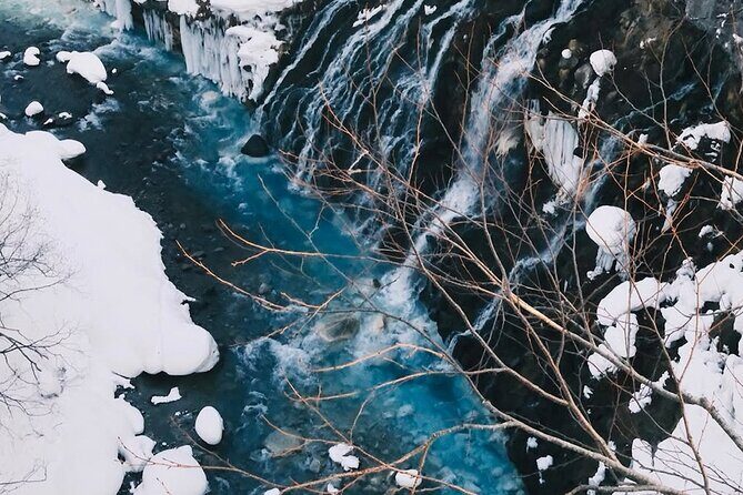 Sapporo: Asahiyama Zoo and Shirahige Falls Trip /w Hotel Pickup - Key Points