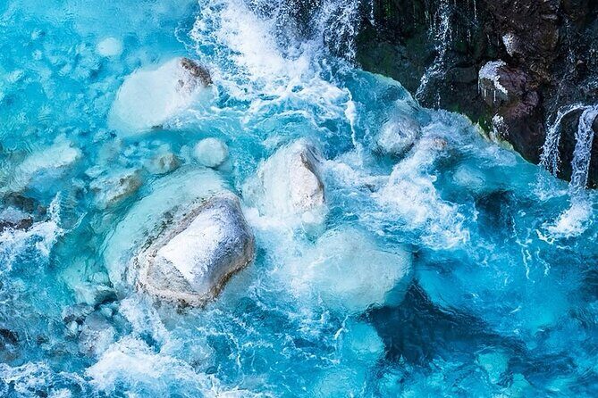 Sapporo: Asahiyama Zoo and Shirahige Falls Trip /w Hotel Pickup - A Deep Dive into the Hokkaido Winter Tour