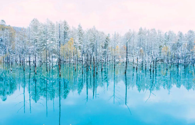 Sapporo Asahiyama Zoo & Farm Tomita Full-Day Tour with Blue Pond - A guide can make a busy day easier