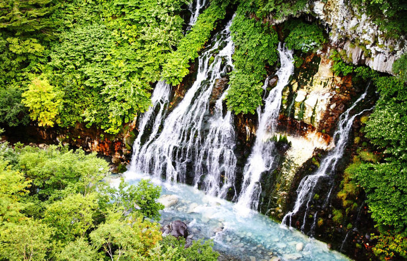 Sapporo Asahiyama Zoo & Farm Tomita Full-Day Tour with Blue Pond - Is $47.29 good value?