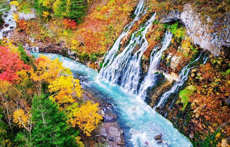 Sapporo Asahiyama Zoo & Forest Elf Terrace Day Tour - Two Hokkaido stops, one day